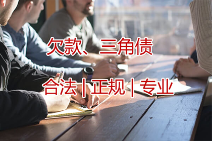 个人借款渠道及还款记录管理